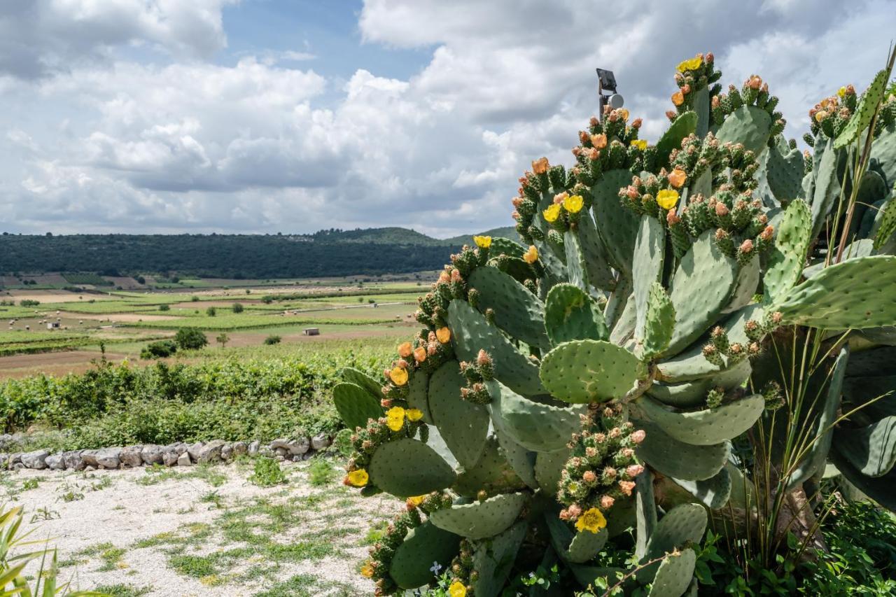 Dimora Rutica Bed & Breakfast Selva Di Fasano Luaran gambar